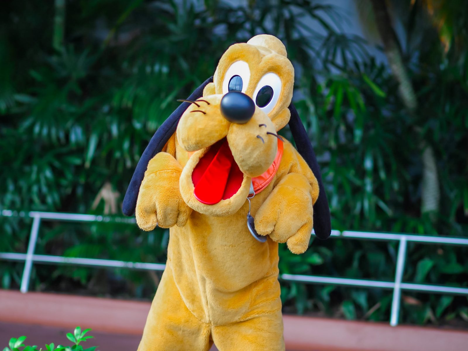 Pluto