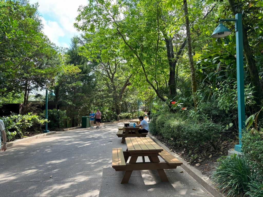 Picnic Tables