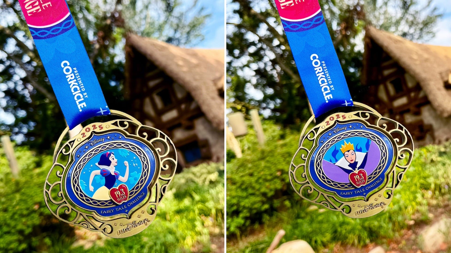 2025-princess-half-marathon-weekend-medals-challenge