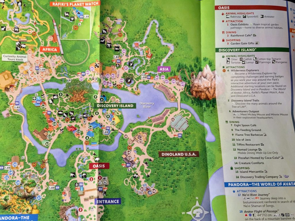Mapa del Reino Animal 3-25