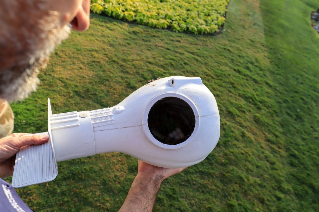 2025-WDW-Purple-Martin-2