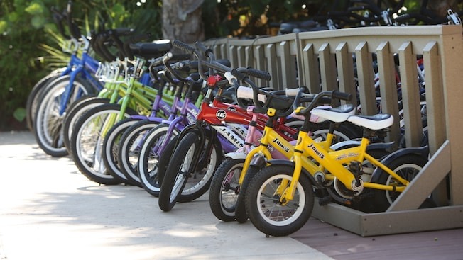 Bike Rentals