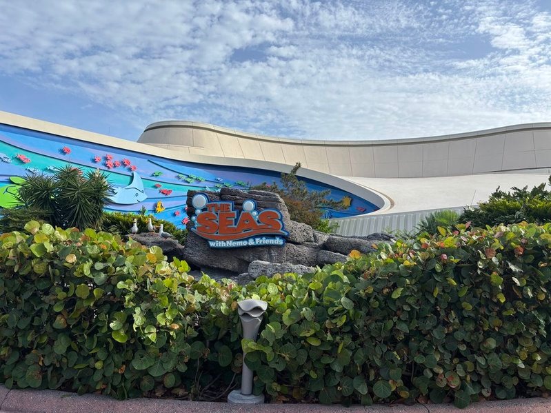 the seas with nemo