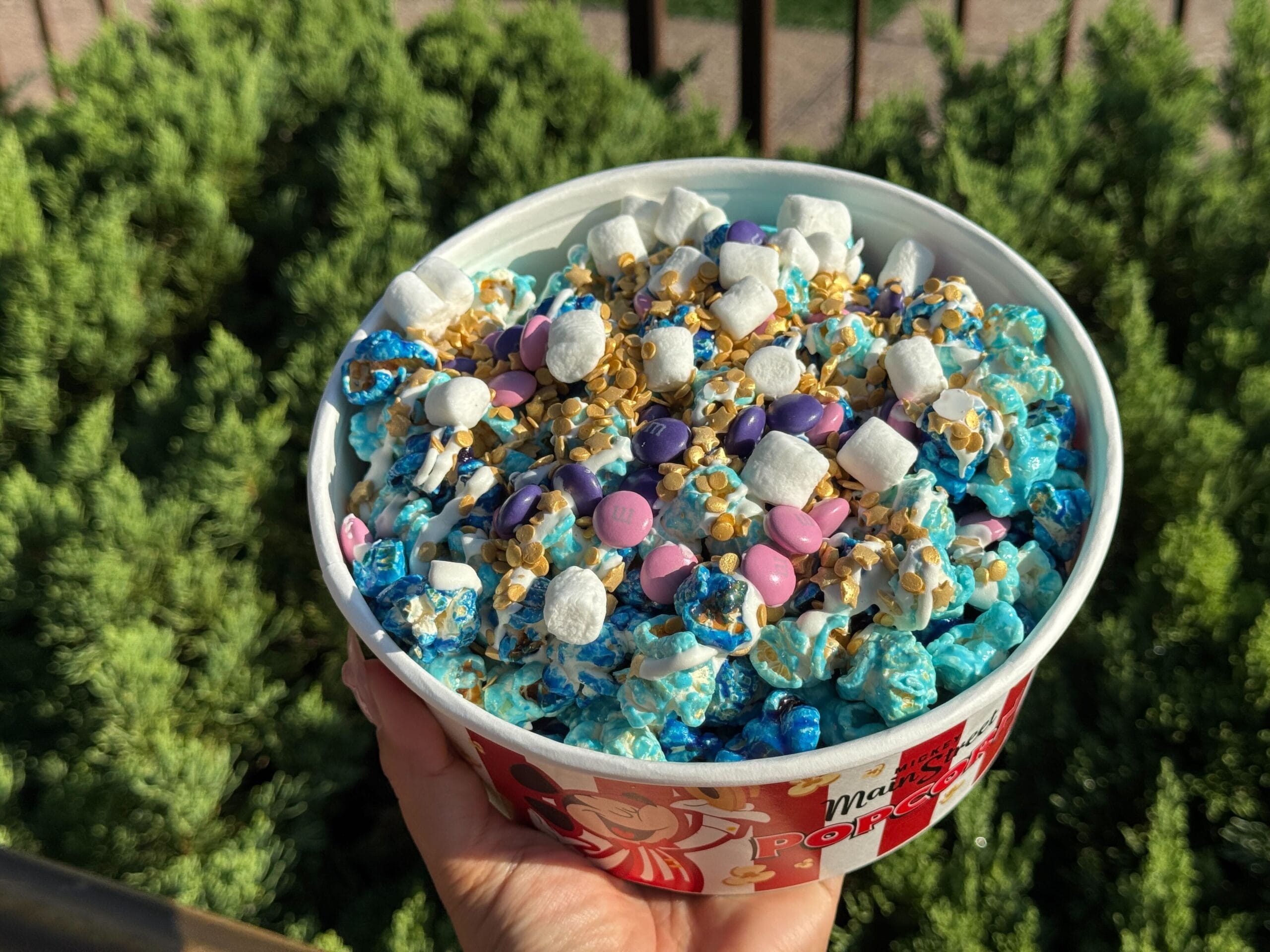 wdw-mk-disney-starlight-parade-popcorn-1