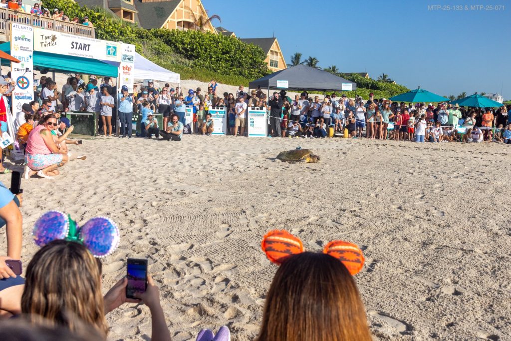 2025-WDW-Tour-de-Turtles-Header