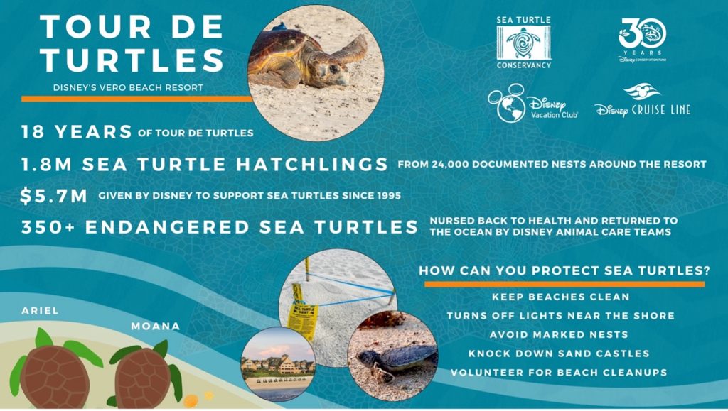 2025-WDW-Tour-de-Turtles-Infographic