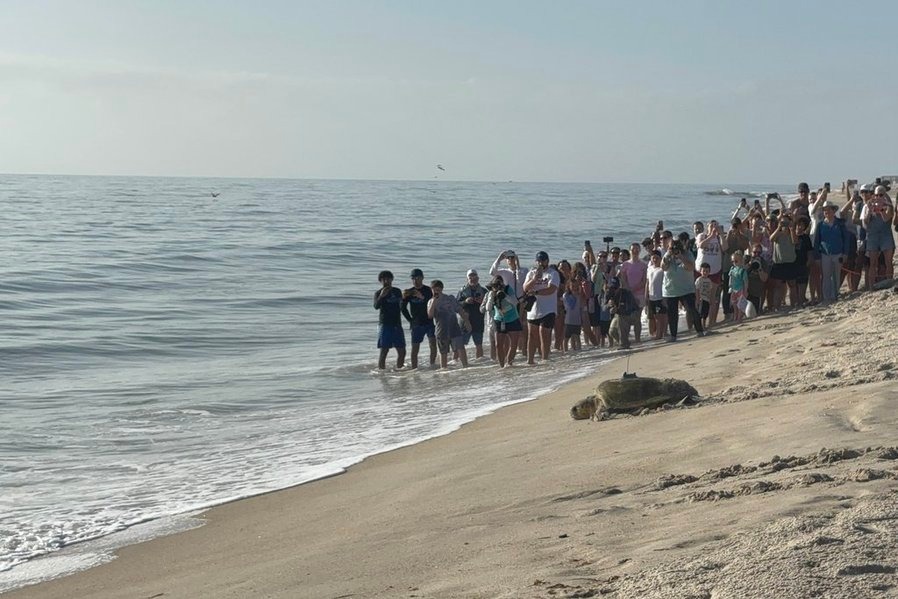 Moana's Release