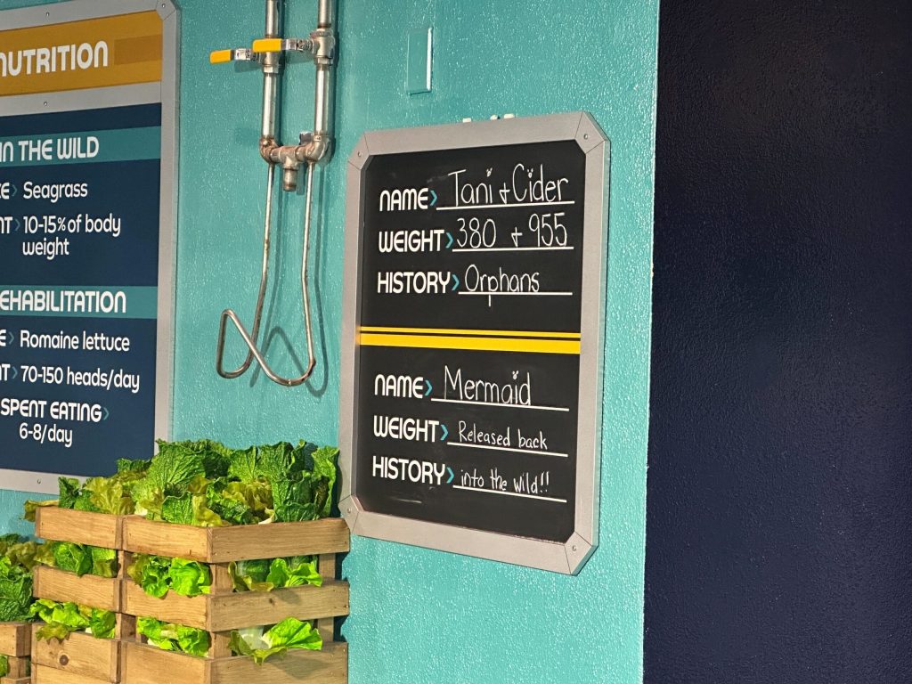 wdw-epcot-manatees-10.14.2025-8649