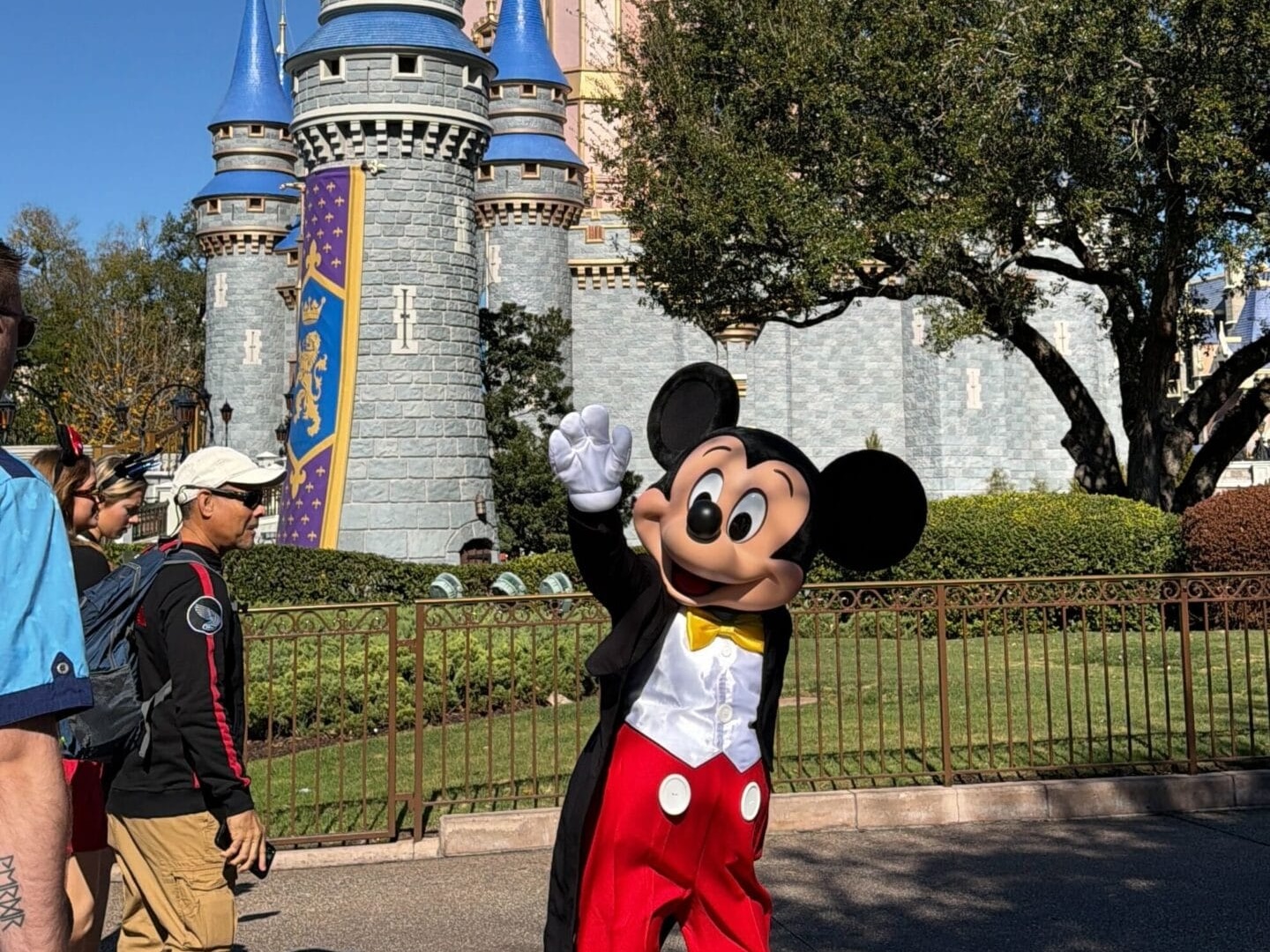 WDW-MK-Roaming-Mickey-Donald5 copy