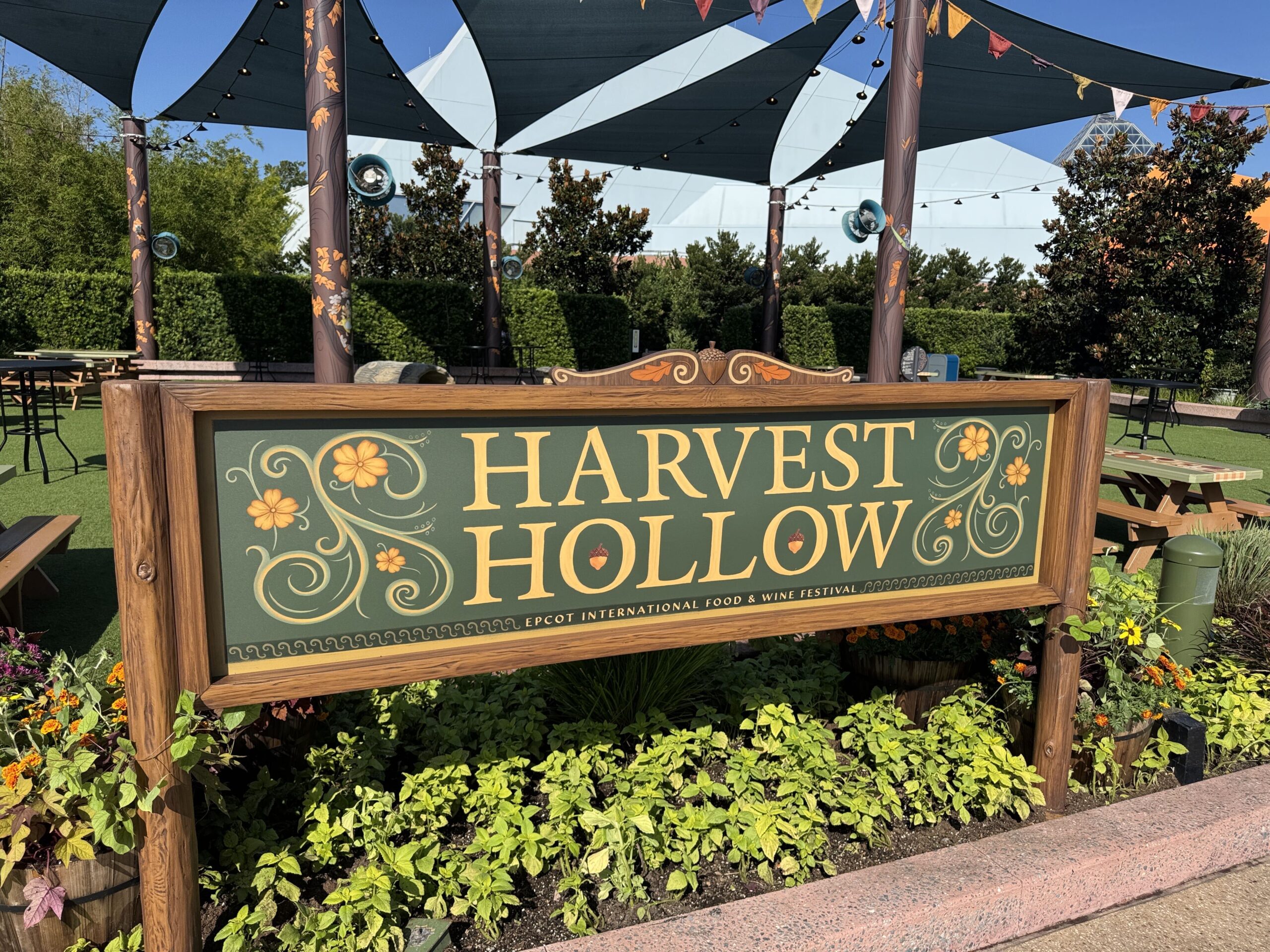 wdw_epcot_harvest_hollow_playground_faw2026-4-scaled